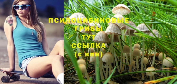 твердый Гусиноозёрск