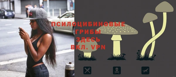 трава Гусев