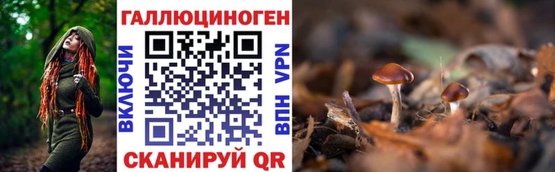 Галлюциногенные грибы ЛСД  Владимир 