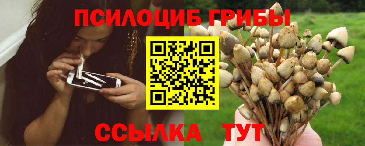 Галлюциногенные грибы мицелий Владимир