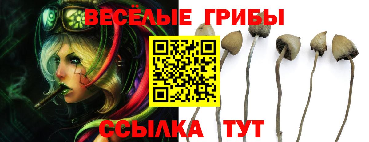 Галлюциногенные грибы ЛСД  Вход с VPN  Владимир 